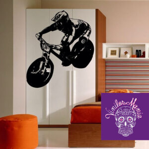 Bicicleta Descenso