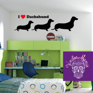 Perros Dachshund