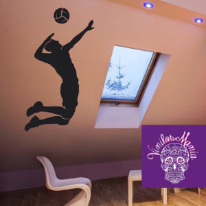 Volleyball