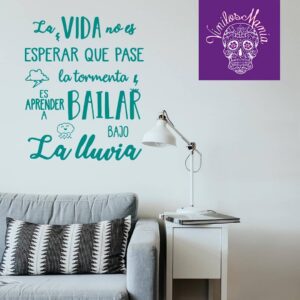 La vida no es esperar que pase la tormenta…