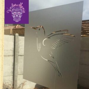 Empavonado Colibrí