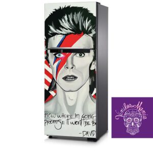 Refrigerador David Bowie